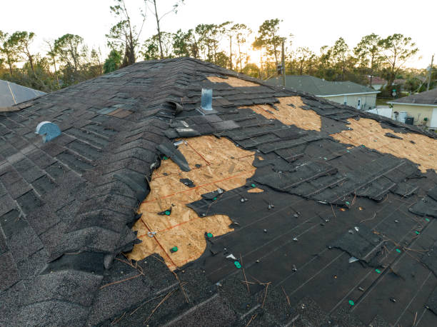 Best Storm Damage Roof Repair  in Scottsville, NY